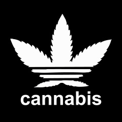 Cannabis